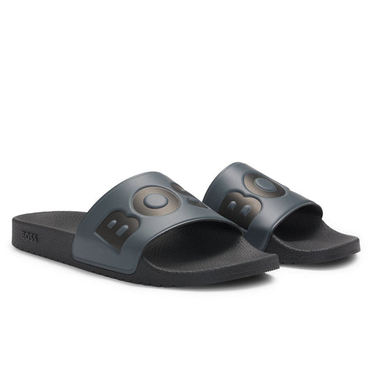 BOSS the Aryeh_Slid_npvlg - 50536835 slides